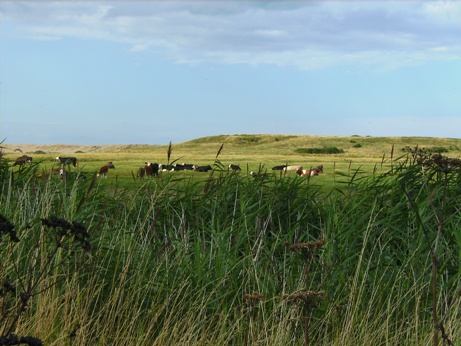 sheringham-salthouse-3