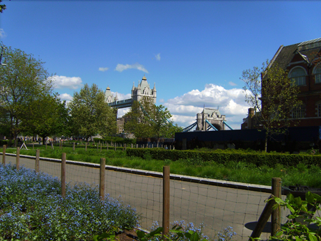 tower-bridge